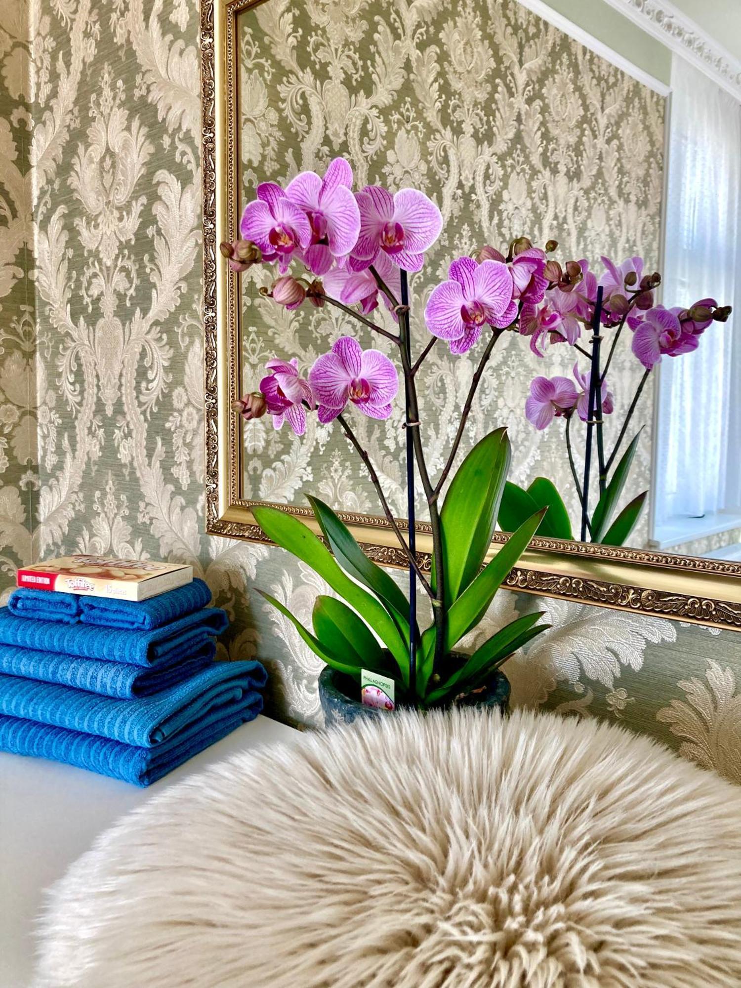 Romanceart Apartments Karlovy Vary Luaran gambar